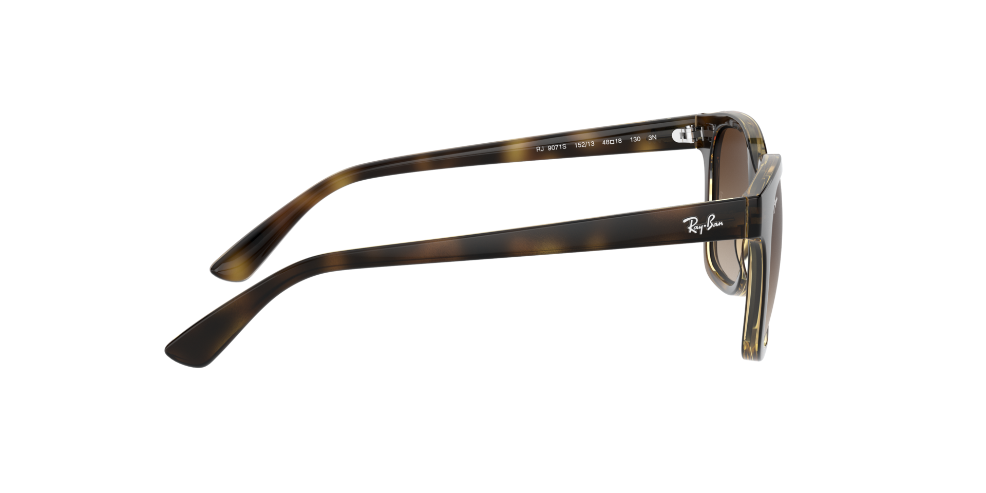 0RJ9071S15213_tortoise_10.png