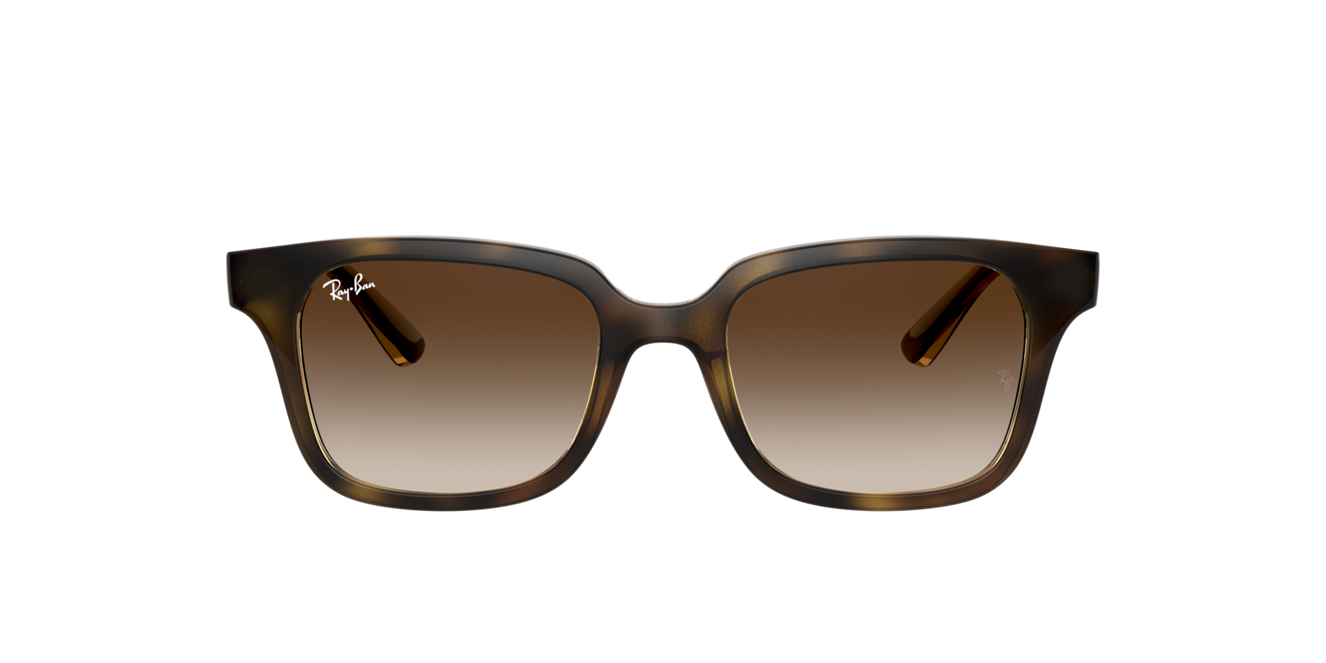 0RJ9071S15213_tortoise_2.png