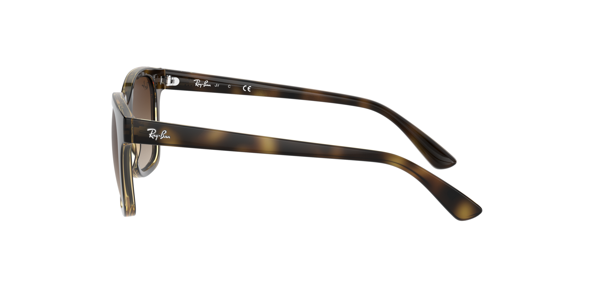 0RJ9071S15213_tortoise_4.png