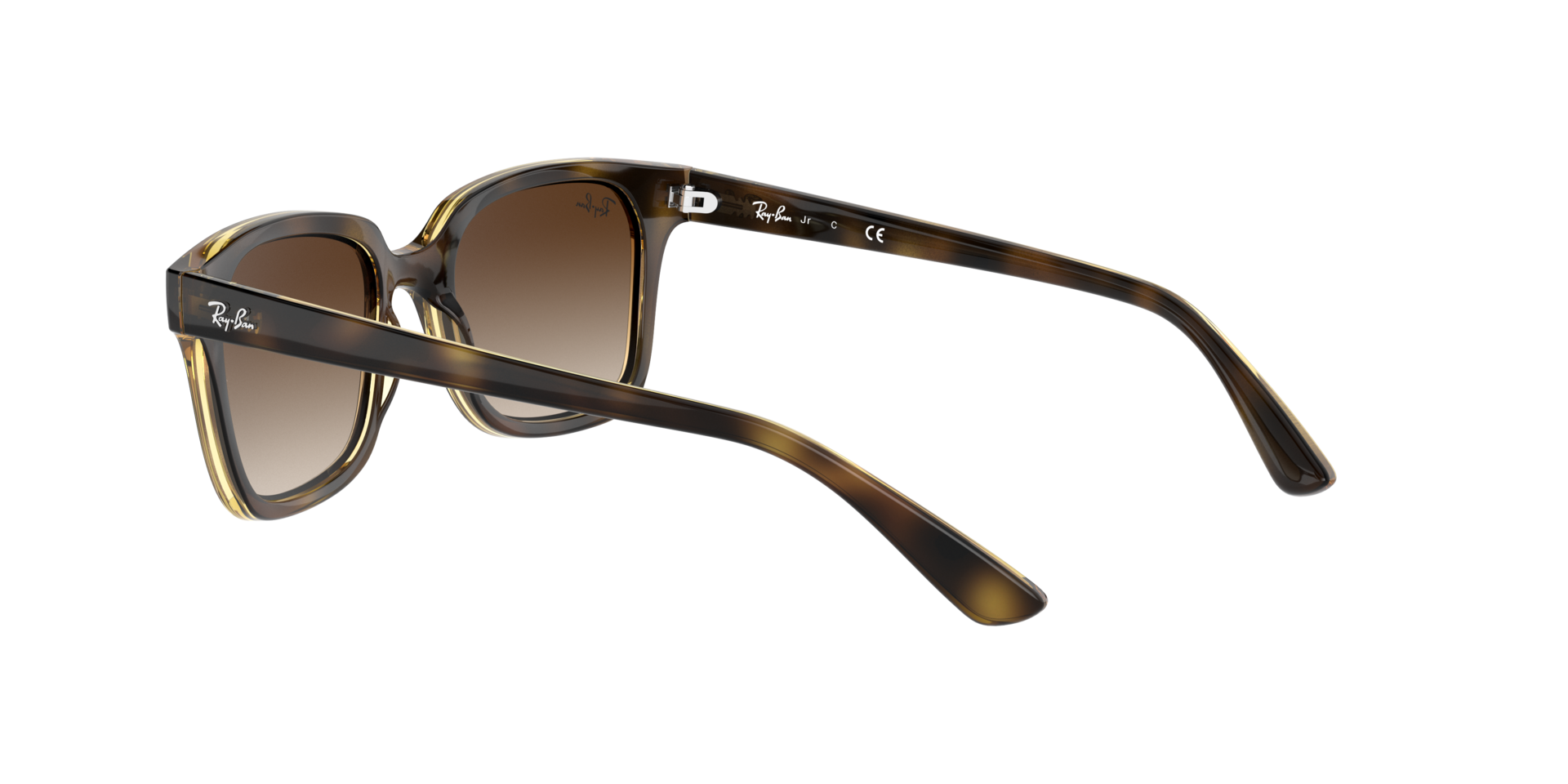 0RJ9071S15213_tortoise_5.png