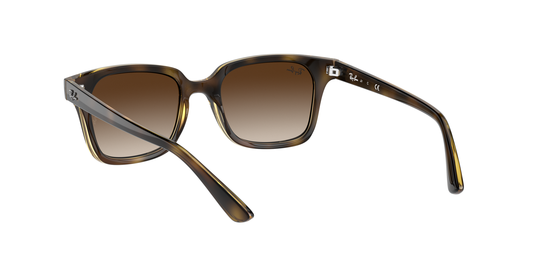 0RJ9071S15213_tortoise_6.png