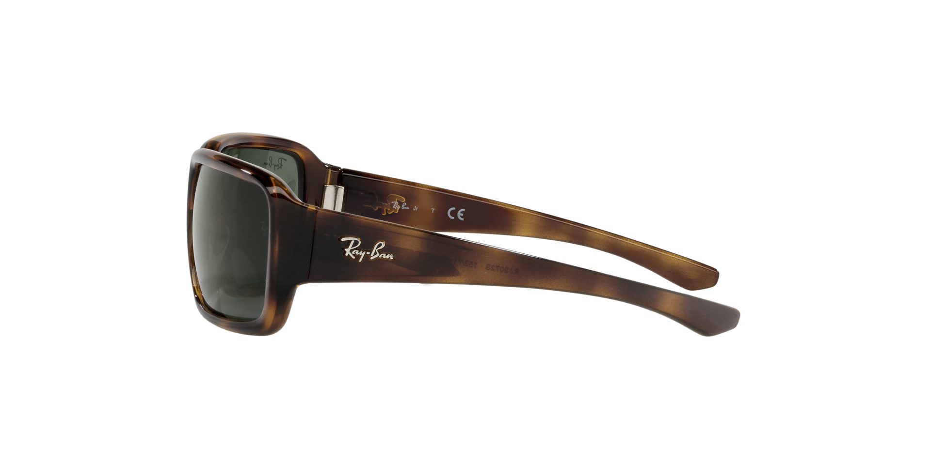 0RJ9072S152_7155_tortoise_4.png