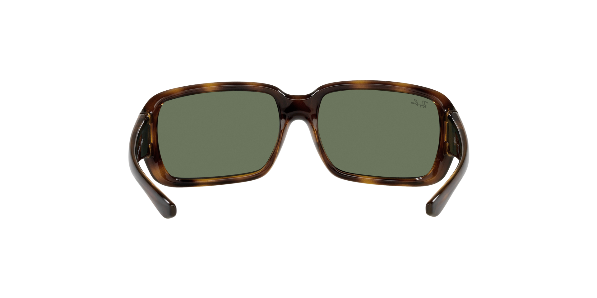 0RJ9072S152_7155_tortoise_7.png
