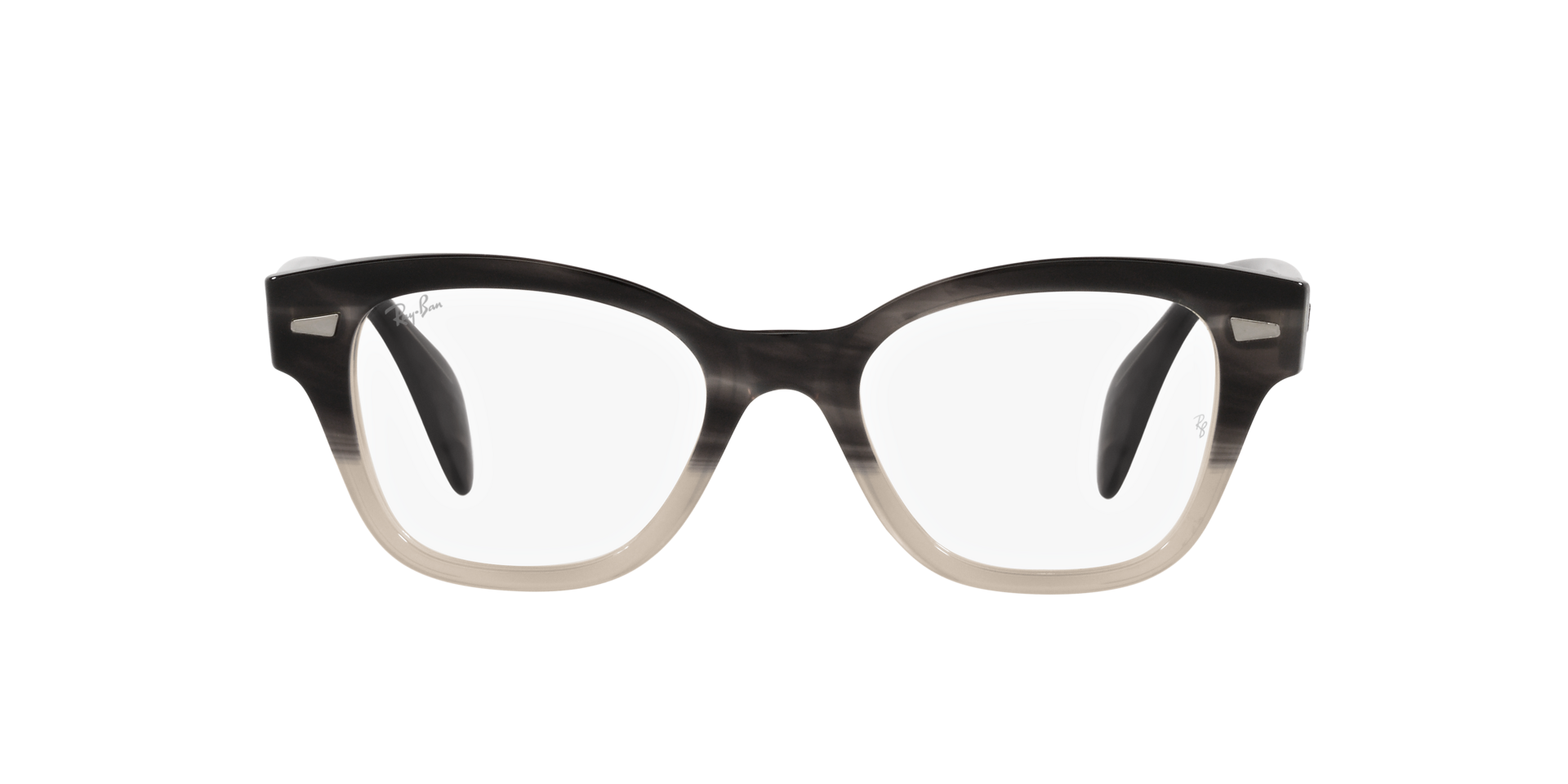 0RX0880_Tortoise-8106_2.png