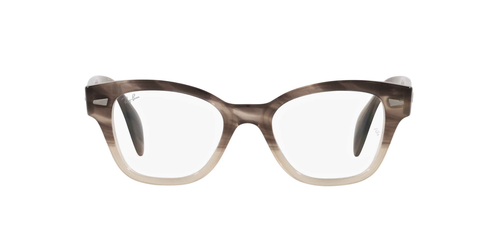 0RX0880_Tortoise-8107_2.png