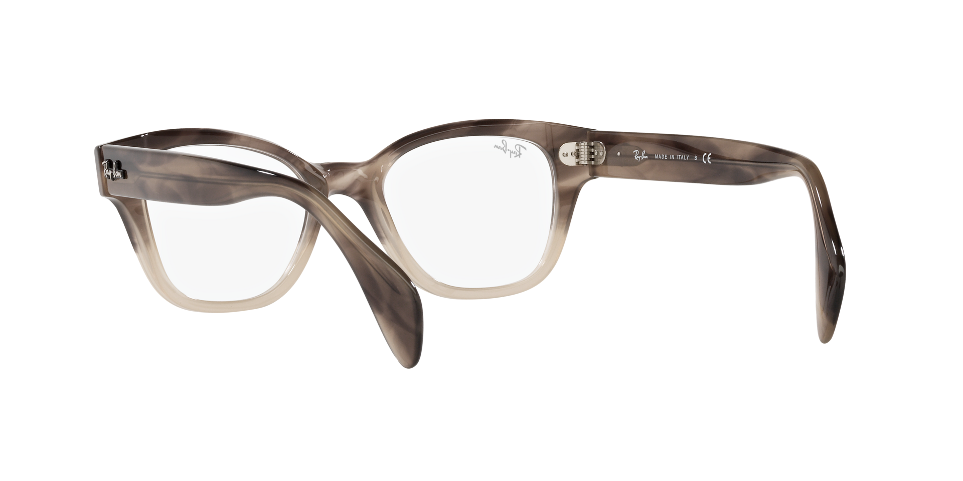 0RX0880_Tortoise-8107_6.png