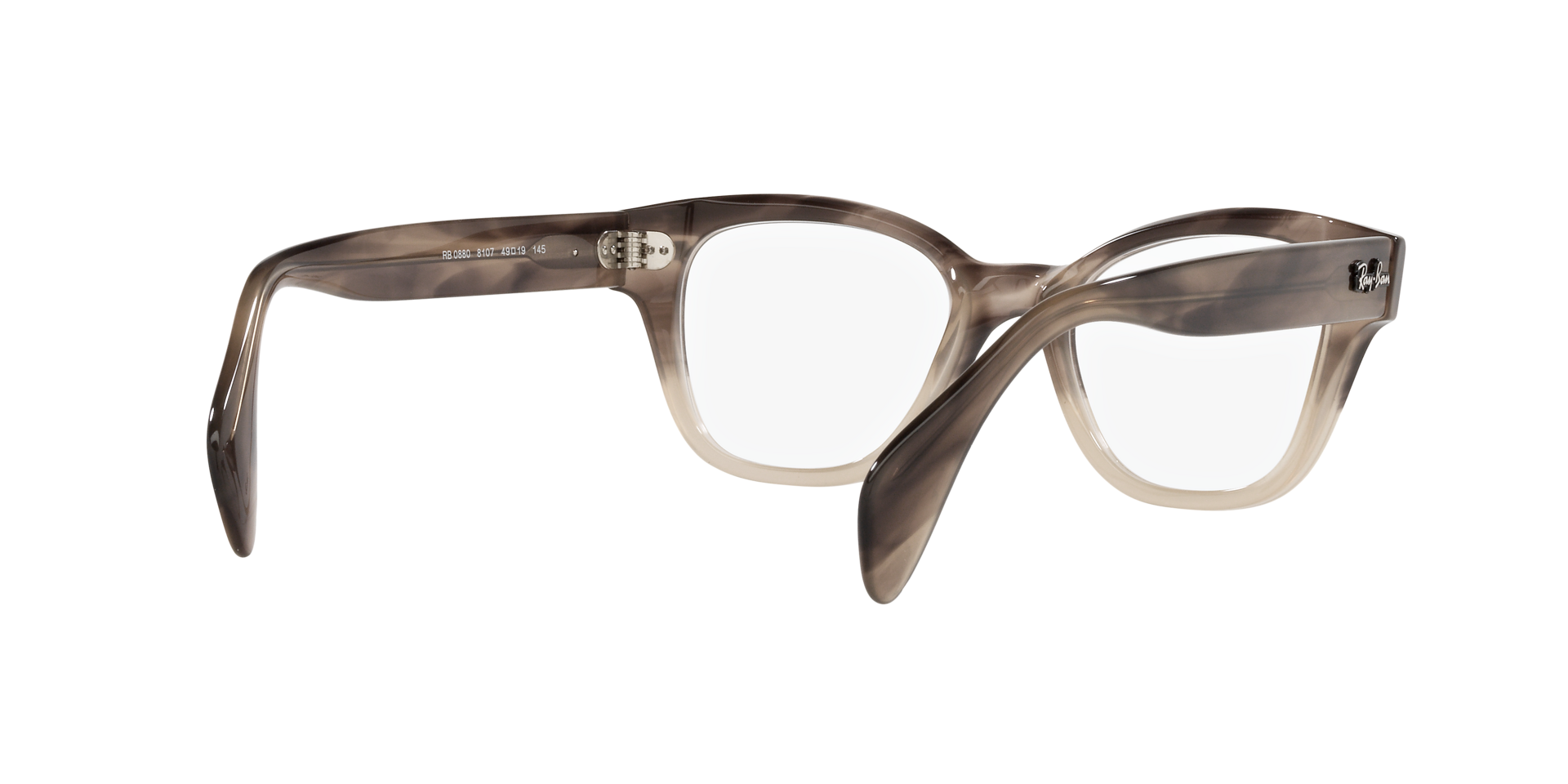 0RX0880_Tortoise-8107_8.png