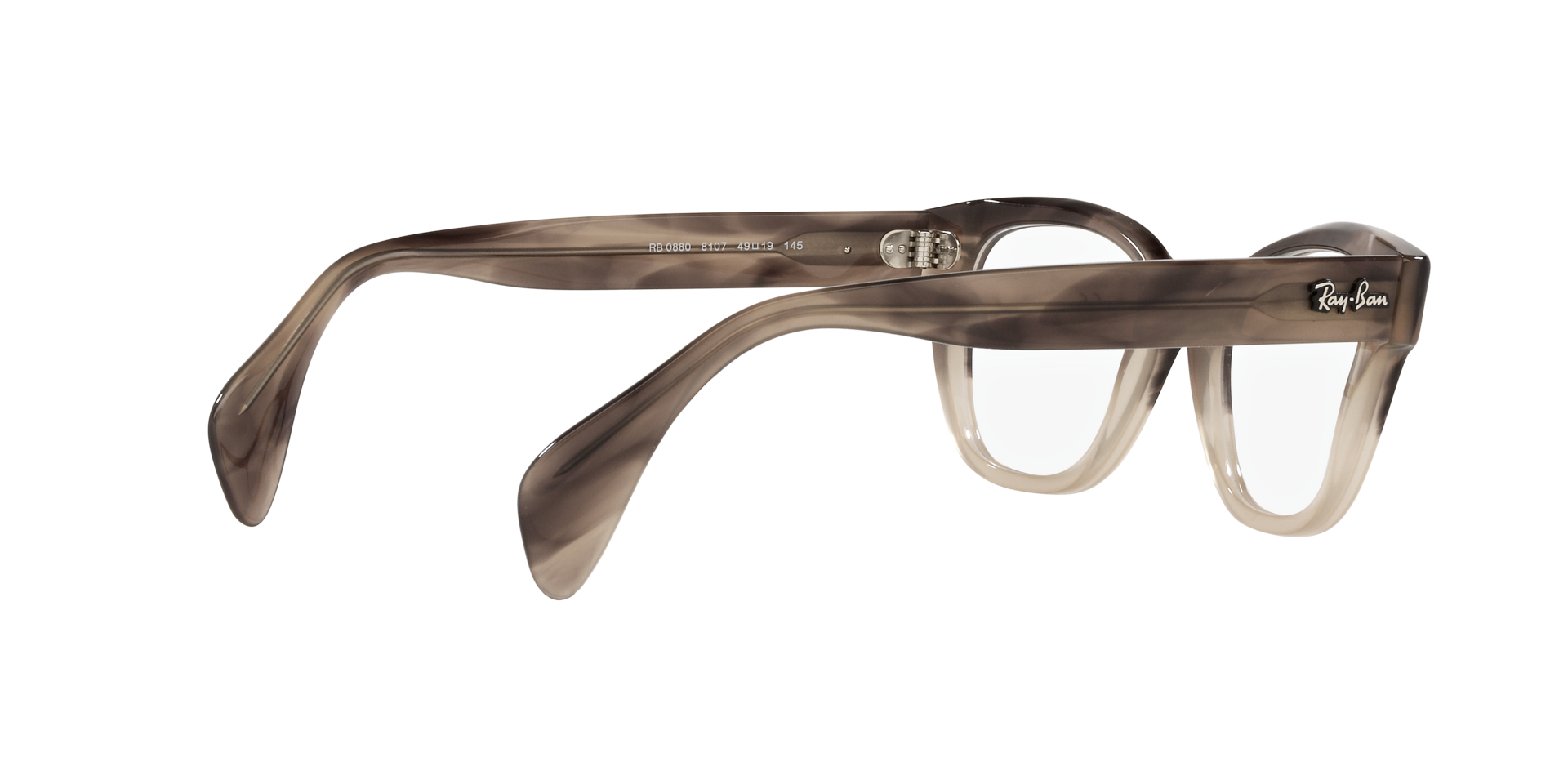 0RX0880_Tortoise-8107_9.png