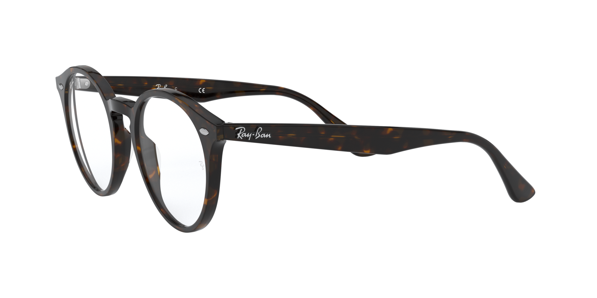 0RX2180_tortoise-V2012_3.png