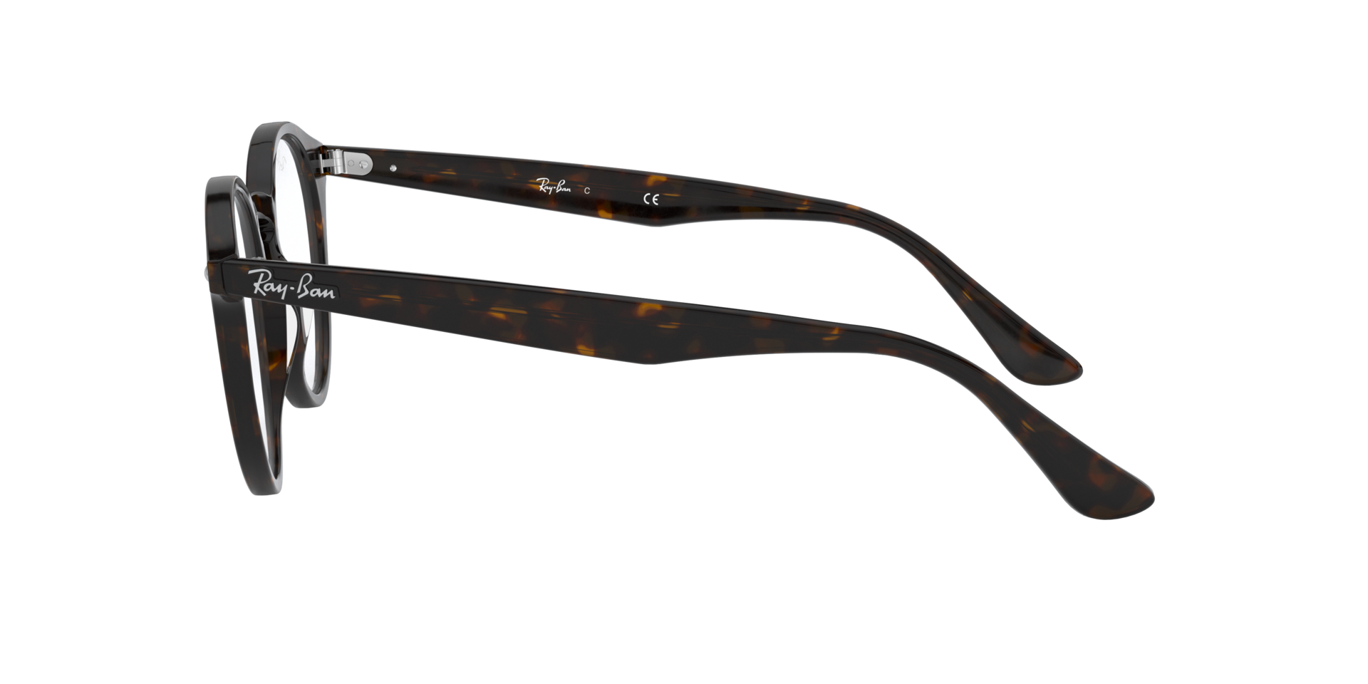 0RX2180_tortoise-V2012_4.png