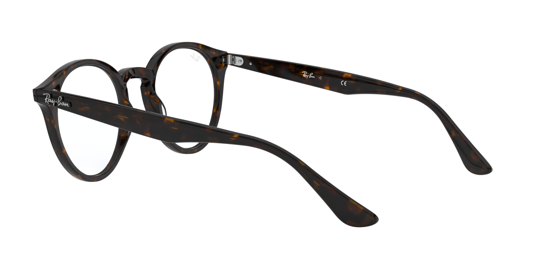0RX2180_tortoise-V2012_5.png