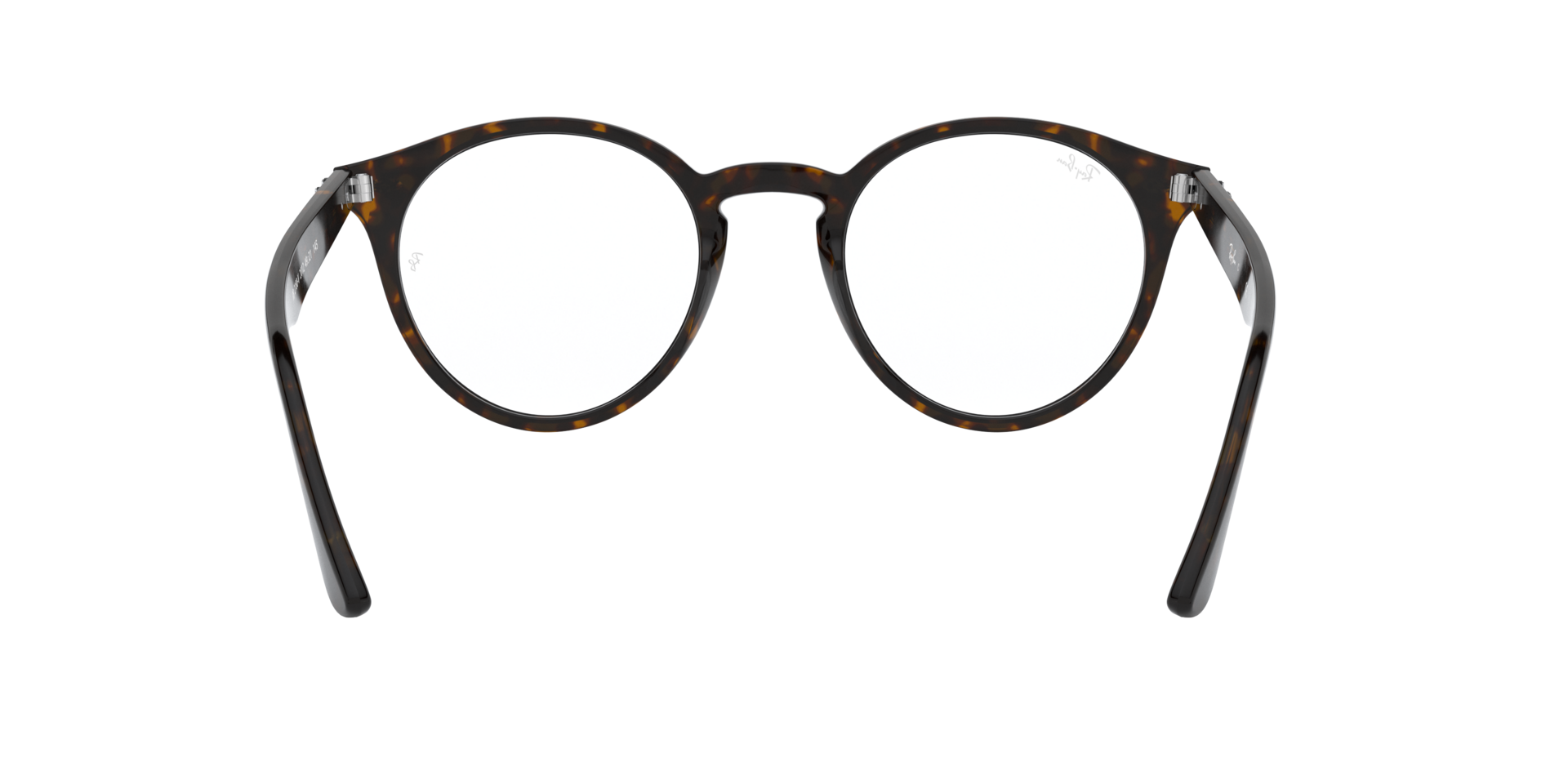 0RX2180_tortoise-V2012_7.png