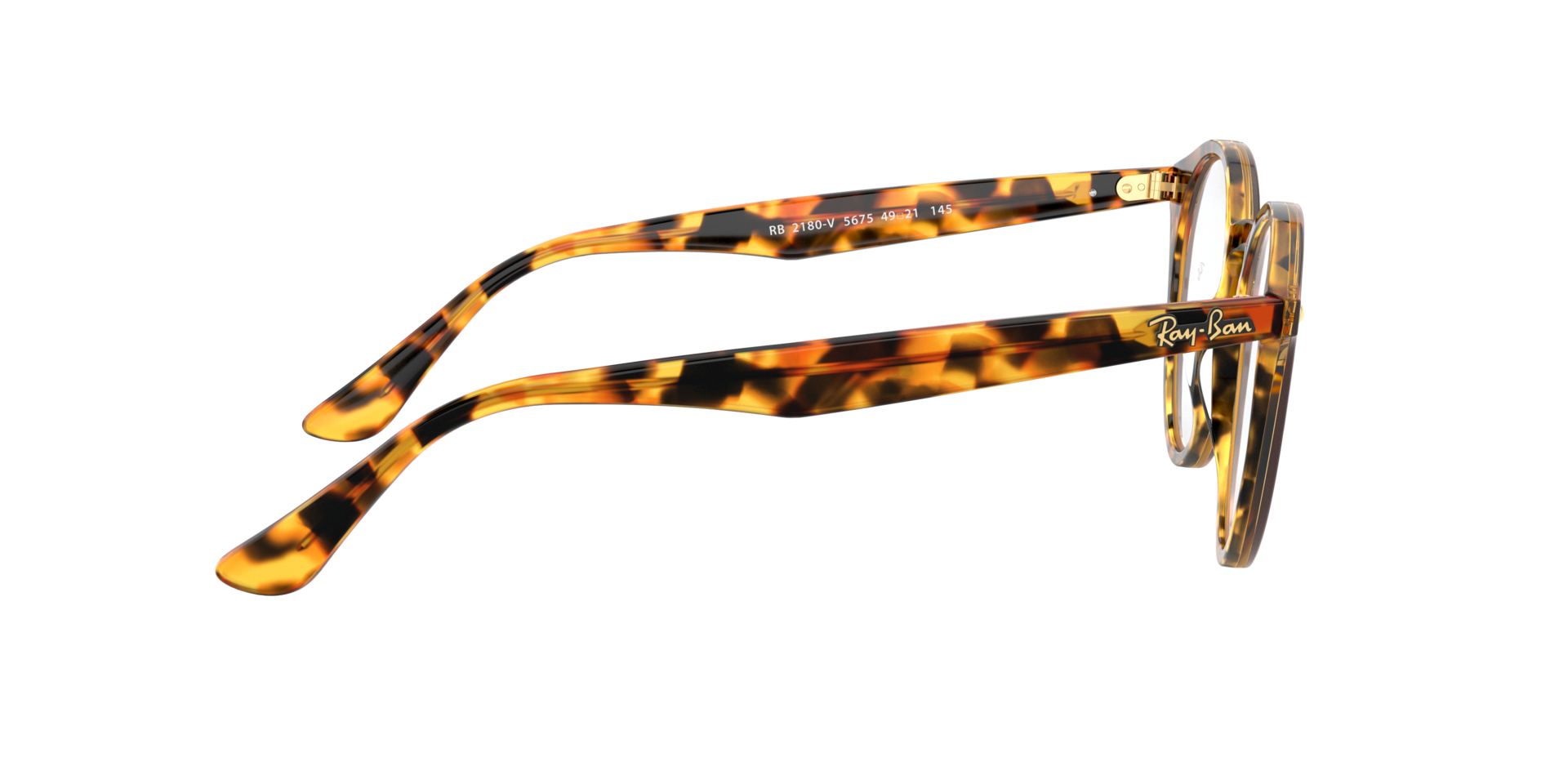 0RX2180_tortoise-V5675_10.png