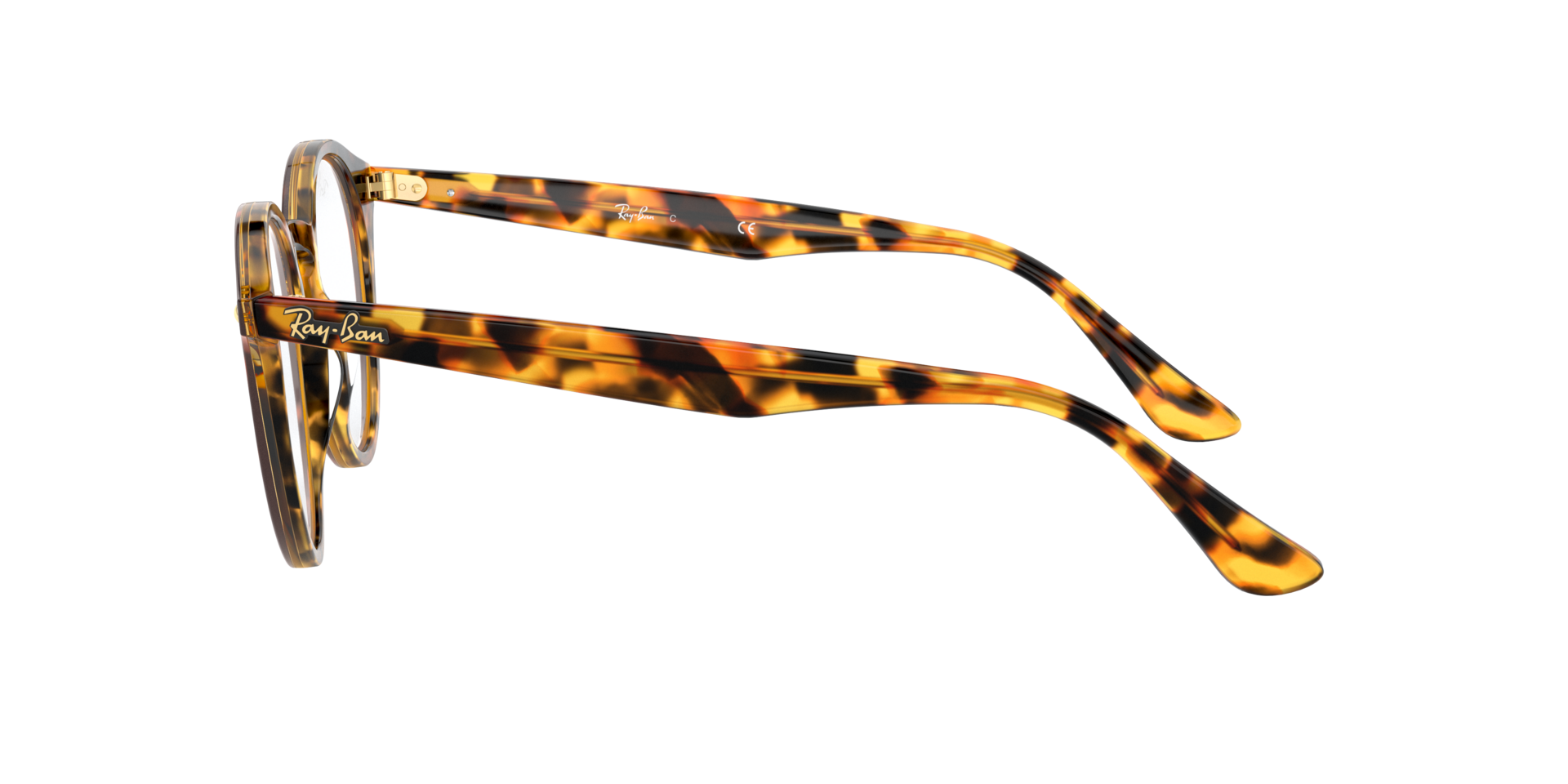 0RX2180_tortoise-V5675_4.png