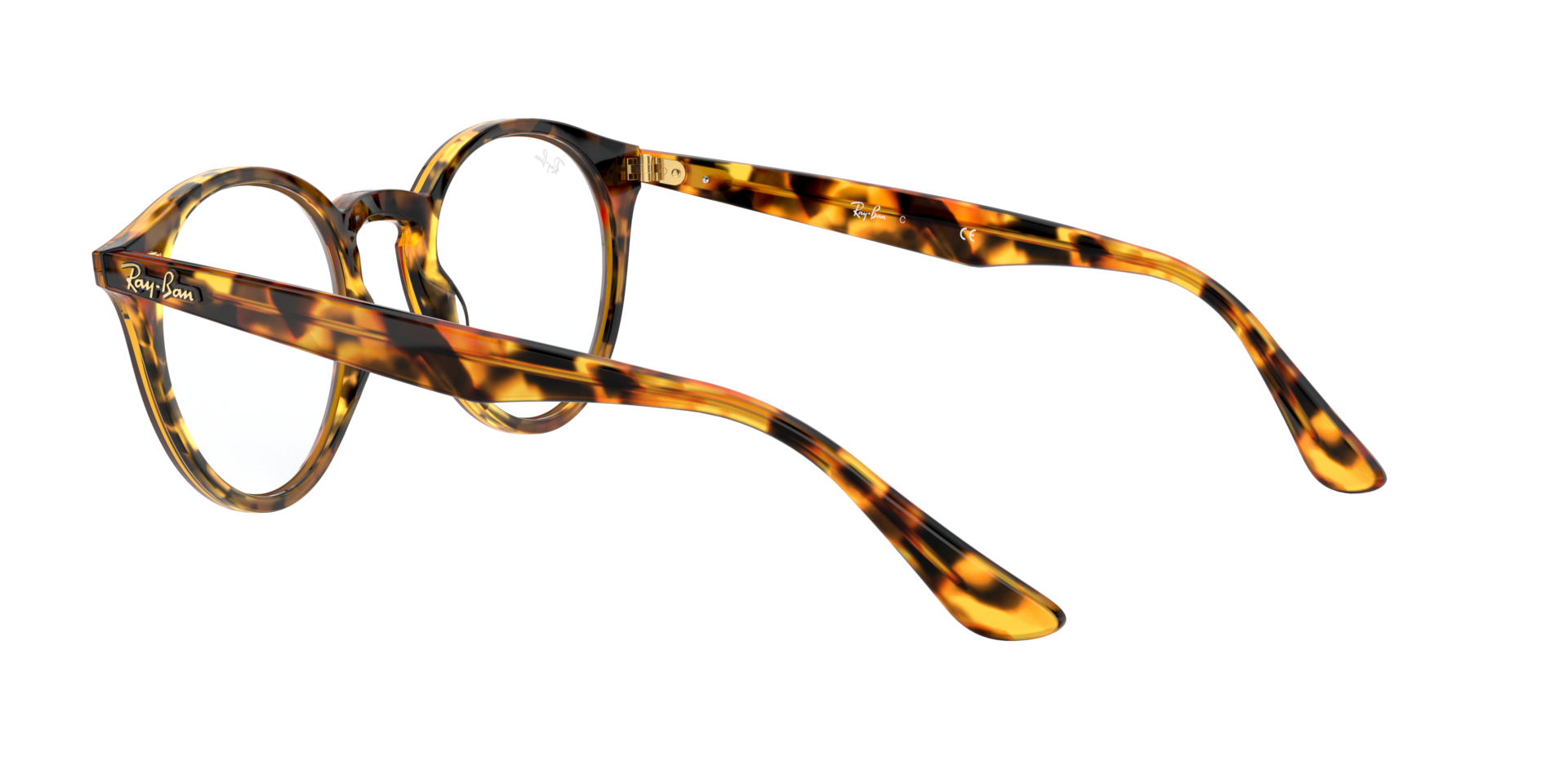 0RX2180_tortoise-V5675_5.png