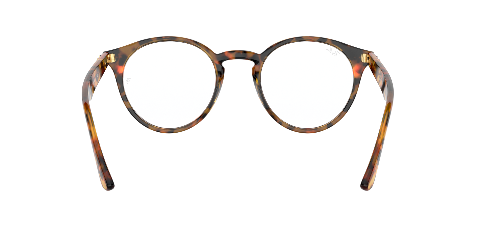 0RX2180_tortoise-V5675_7.png