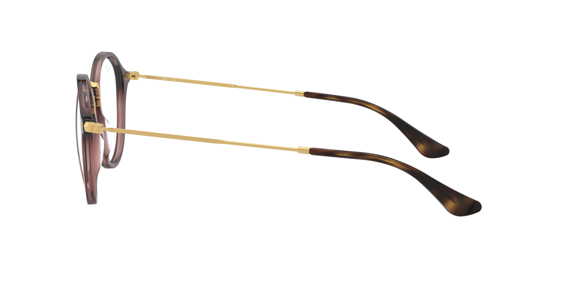 0RX2447_brown-V8032_4.png