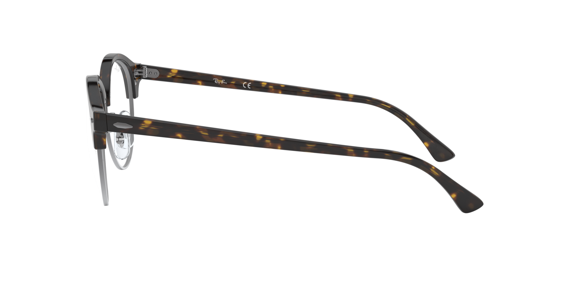 0RX4246_tortoise-V2012_4.png