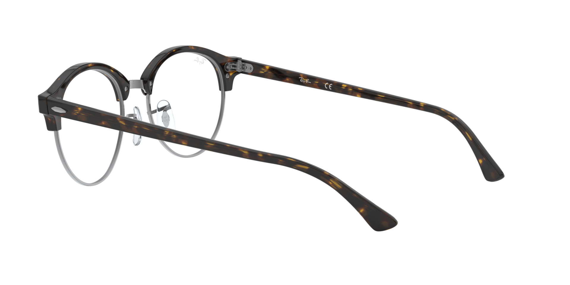 0RX4246_tortoise-V2012_5.png