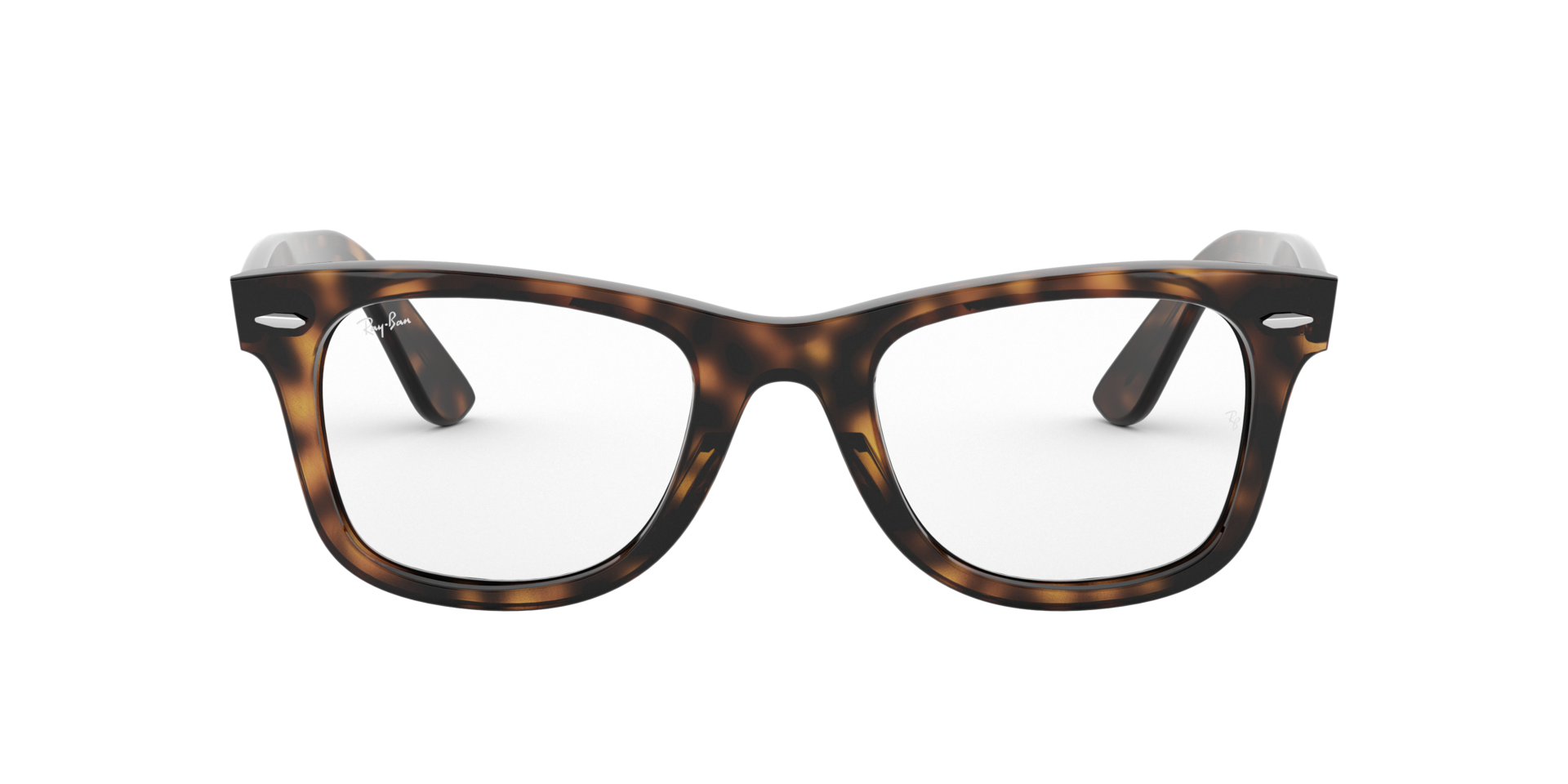 0RX4340_tortoise-V2012_2.png