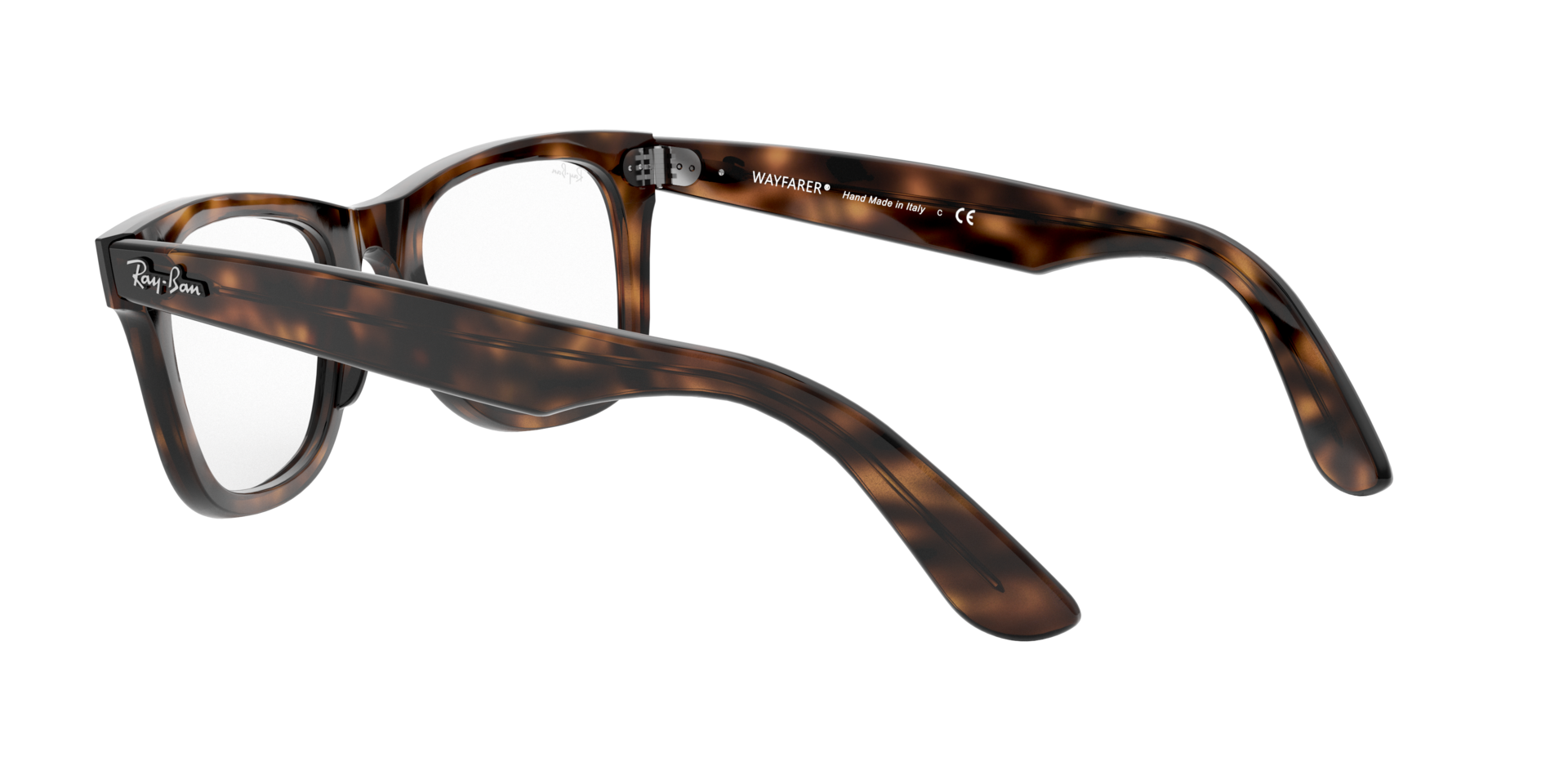 0RX4340_tortoise-V2012_5.png