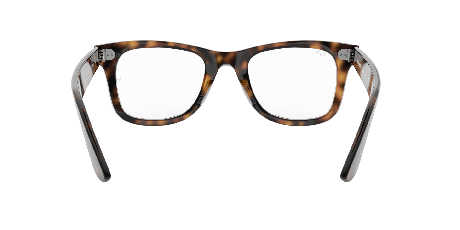 0RX4340_tortoise-V2012_7.png