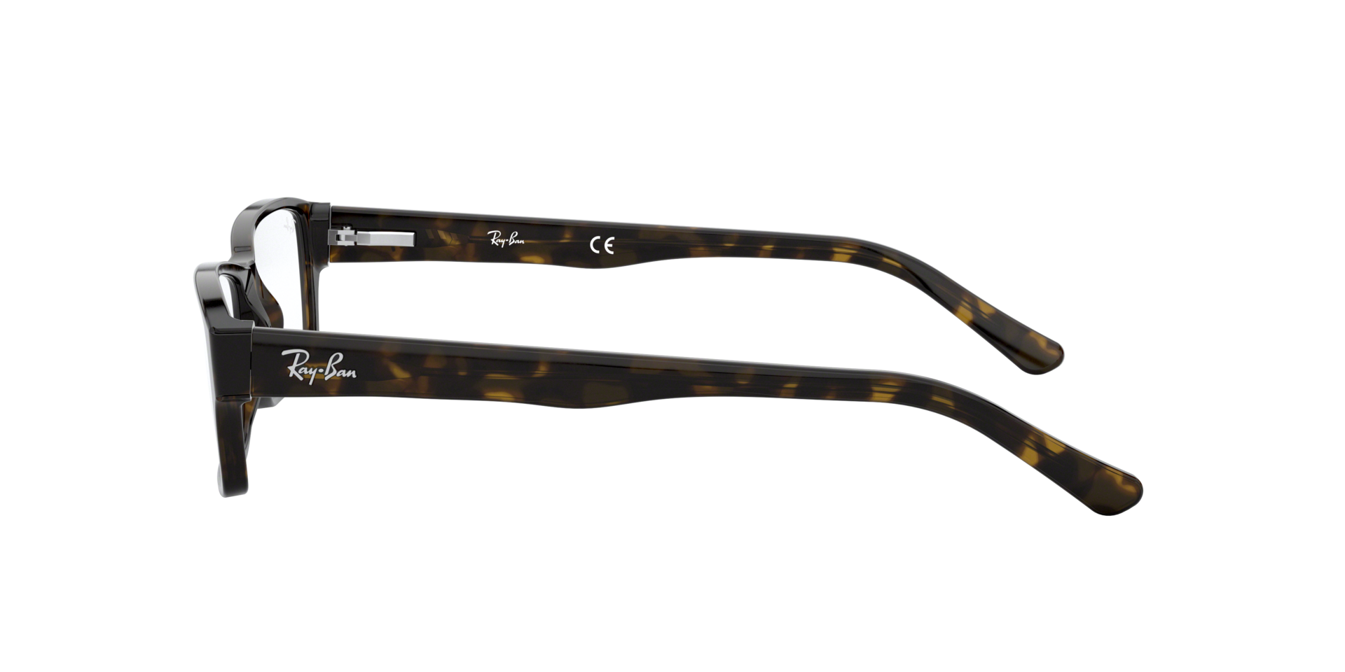 0RX5169_tortoise-2012_4.png