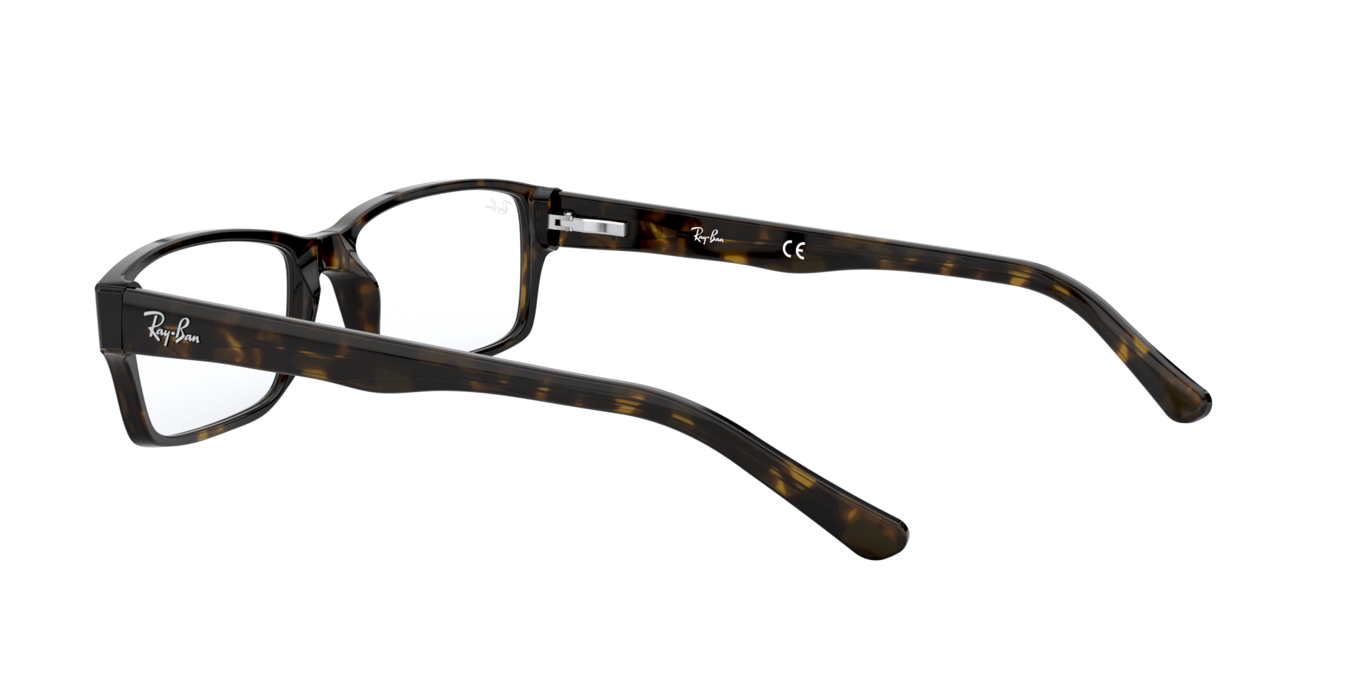 0RX5169_tortoise-2012_5.png