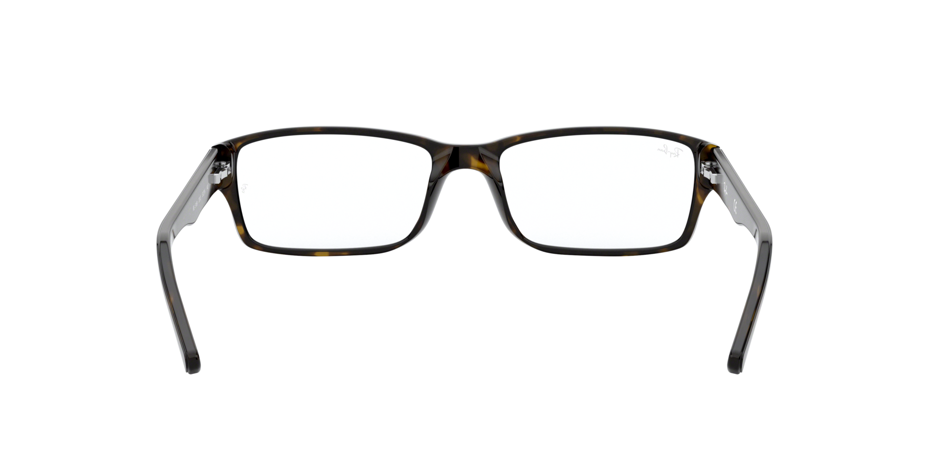 0RX5169_tortoise-2012_7.png