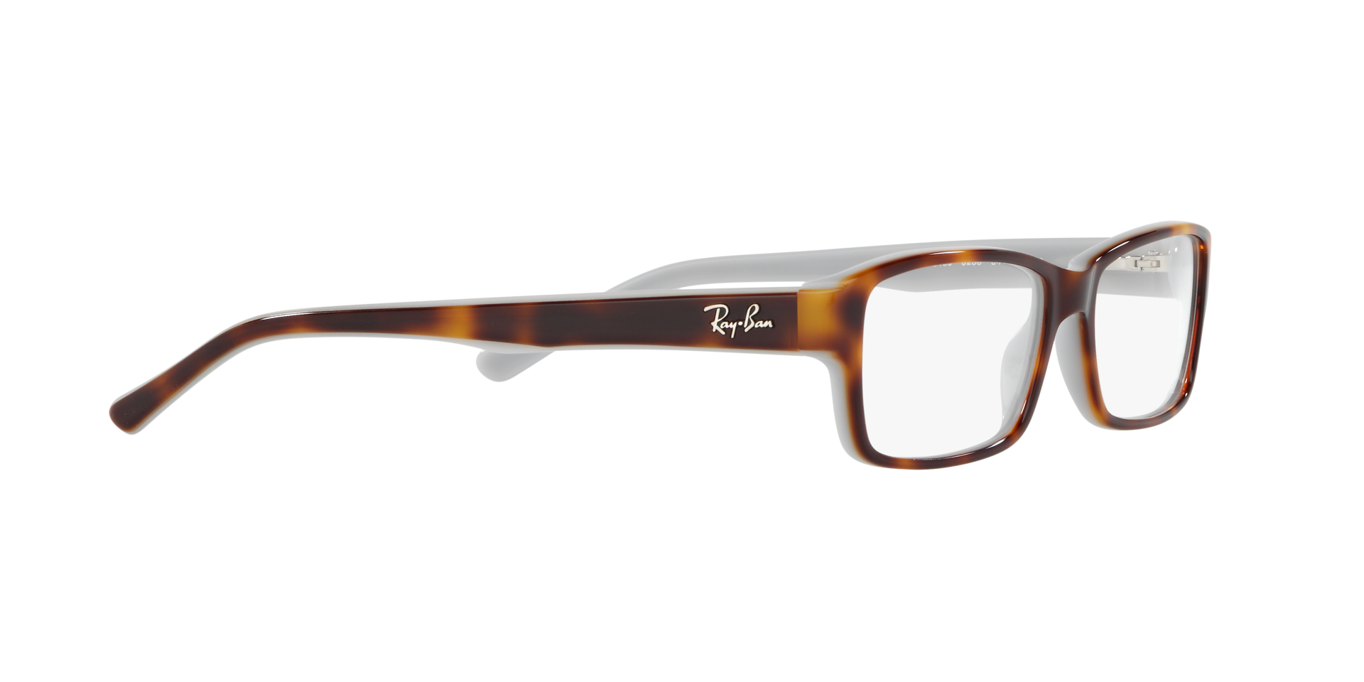 0RX5169_tortoise-5238_11.png