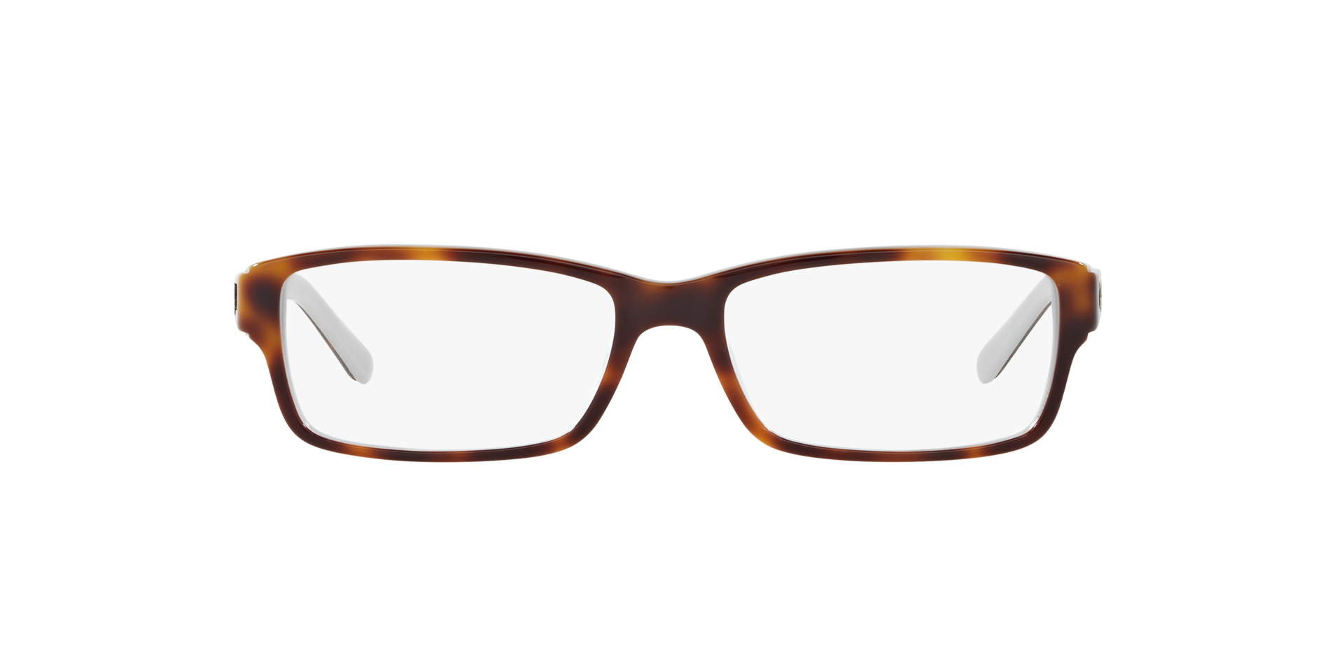 0RX5169_tortoise-5238_2.png
