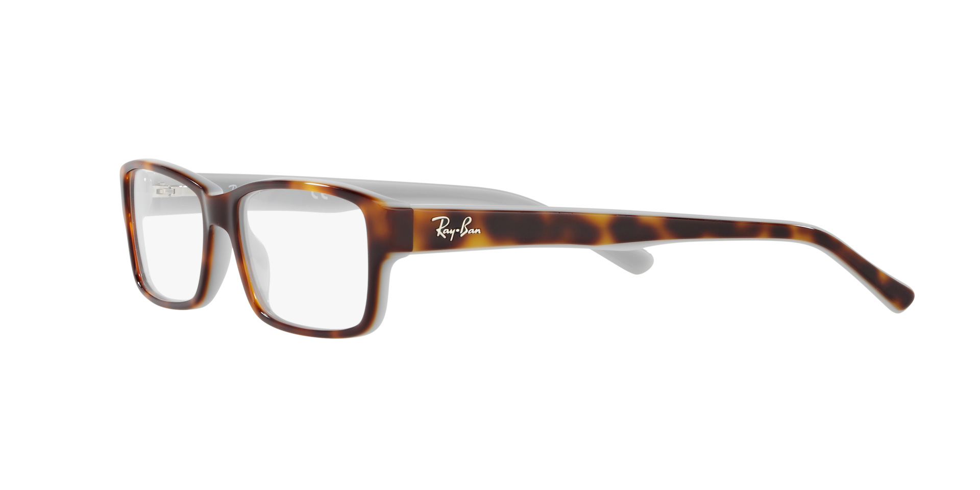 0RX5169_tortoise-5238_3.png