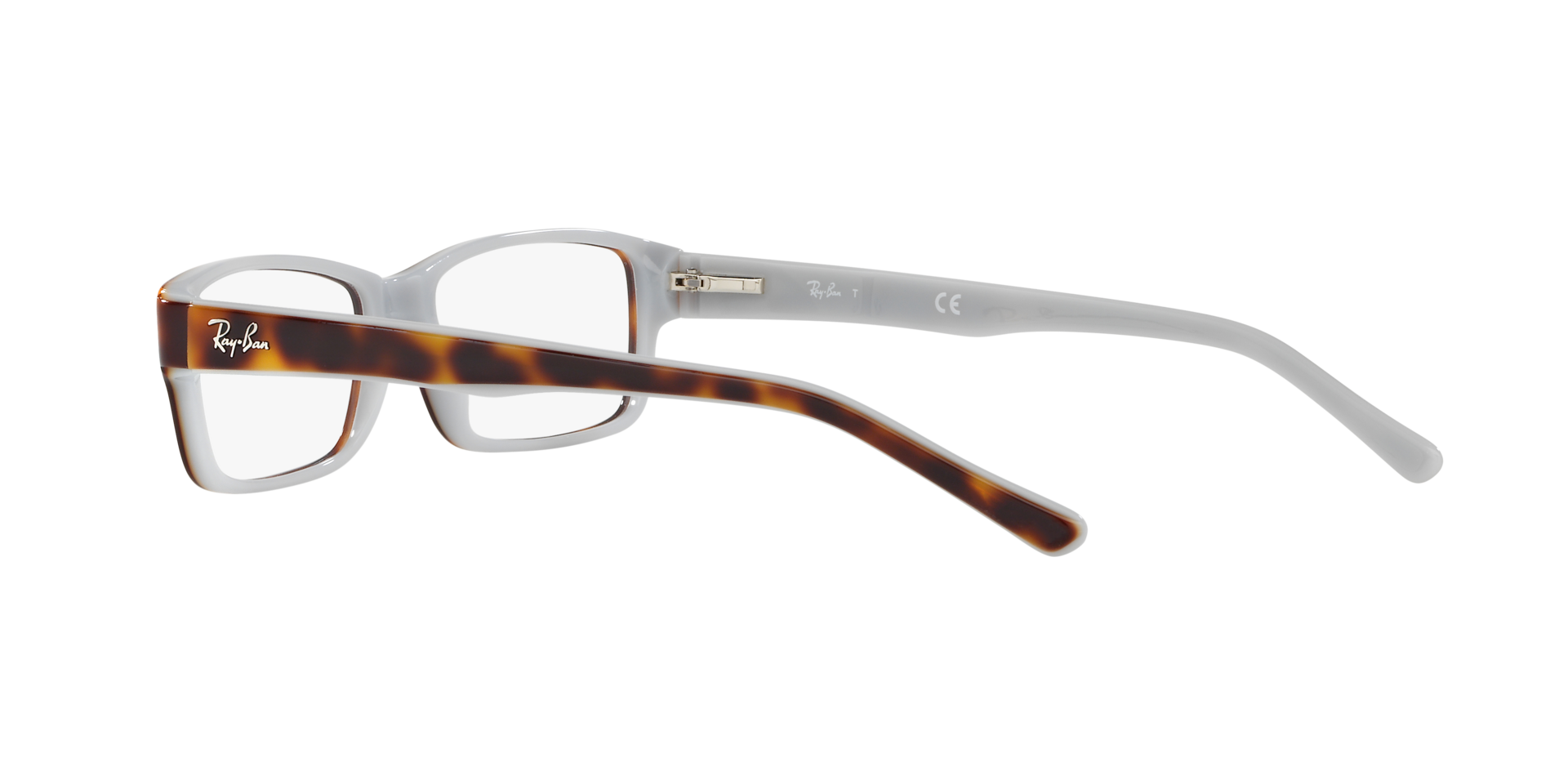0RX5169_tortoise-5238_5.png