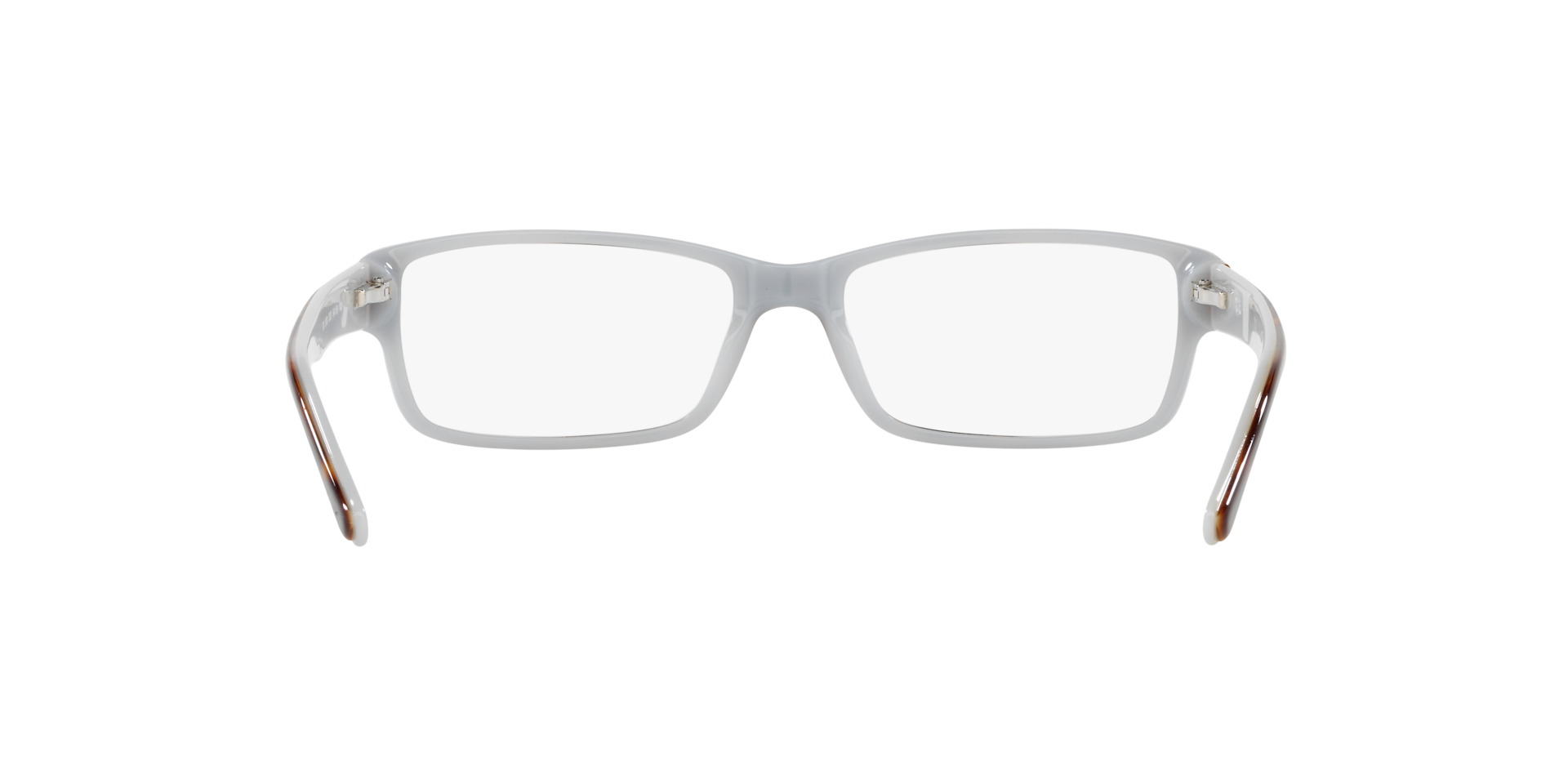 0RX5169_tortoise-5238_7.png