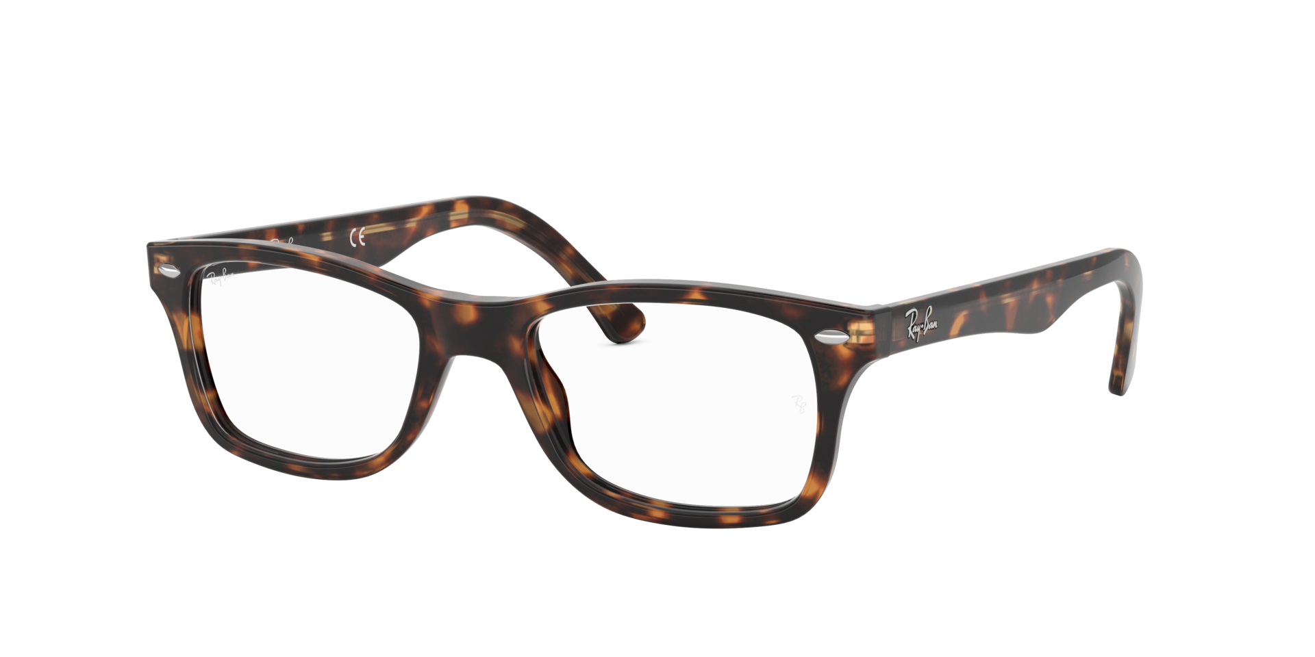 0RX5228_tortoise-2012