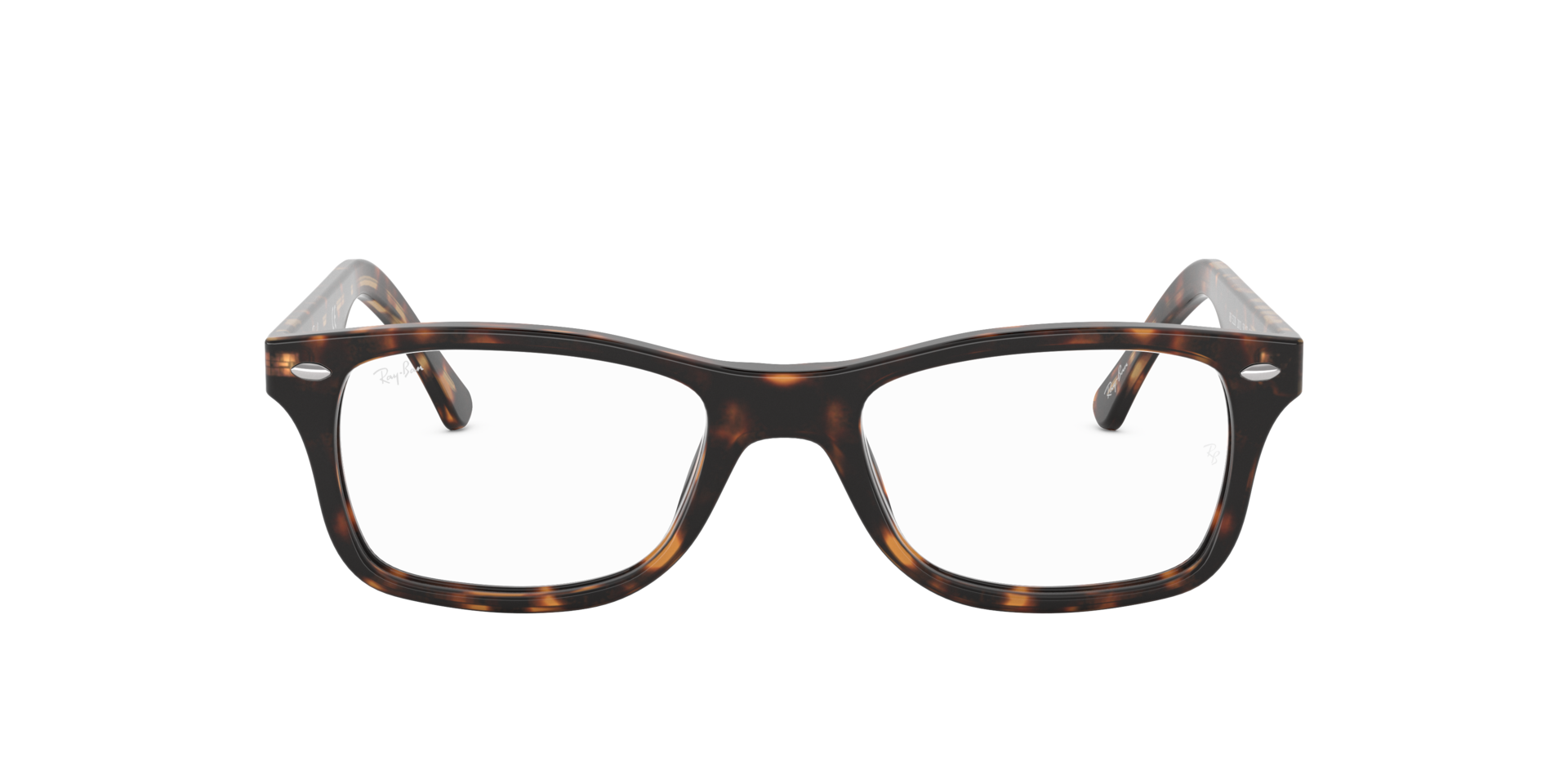 0RX5228_tortoise-2012_2.png