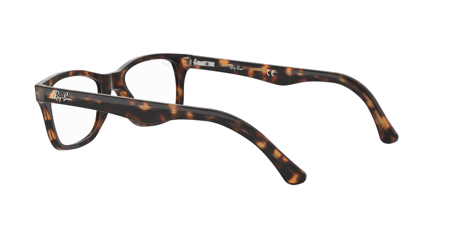 0RX5228_tortoise-2012_5.png