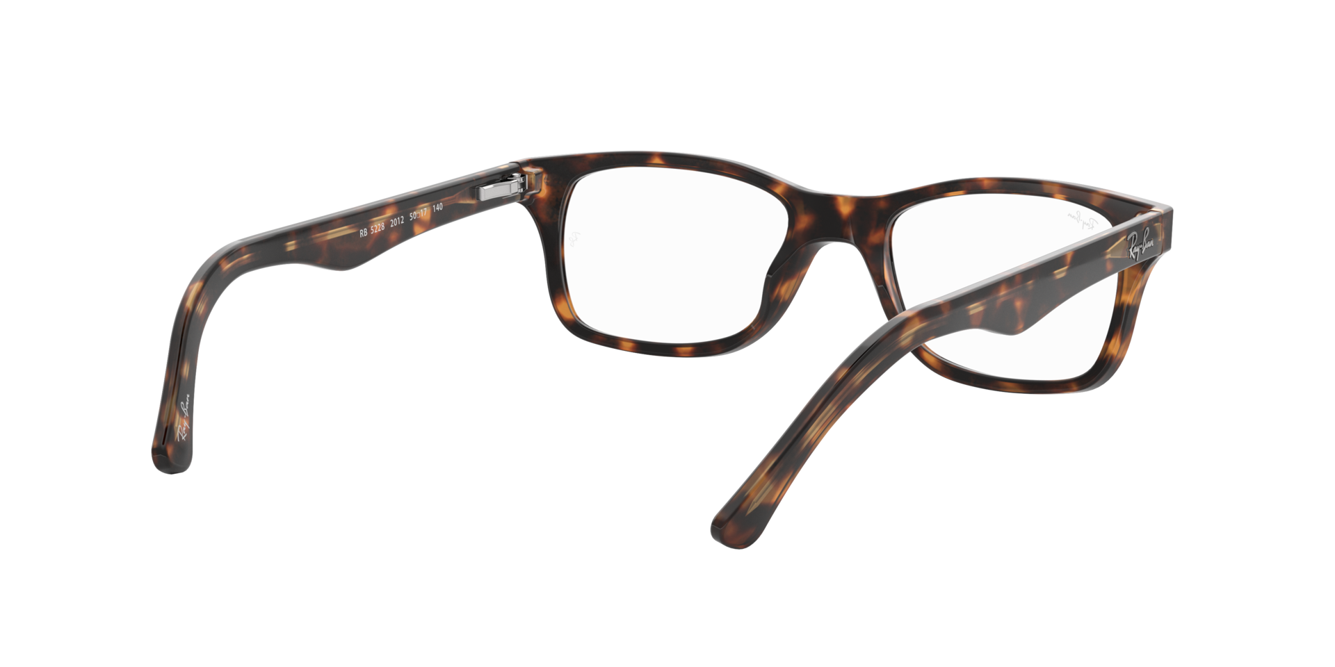 0RX5228_tortoise-2012_8.png