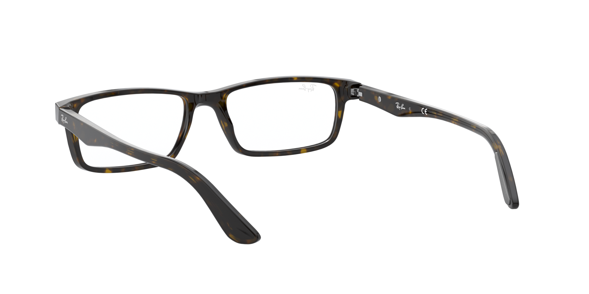 0RX5277_tortoise-2012_6.png