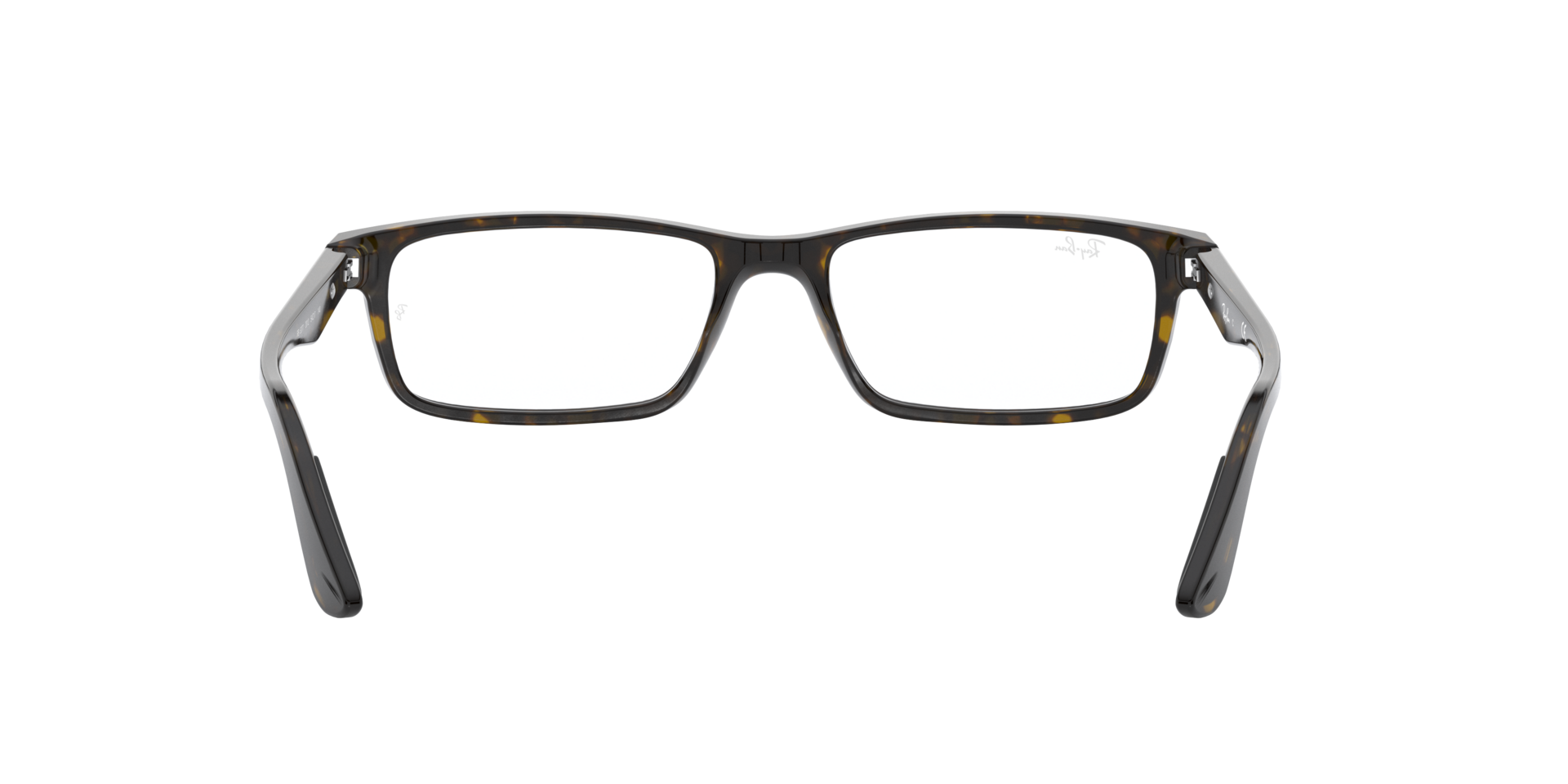 0RX5277_tortoise-2012_7.png