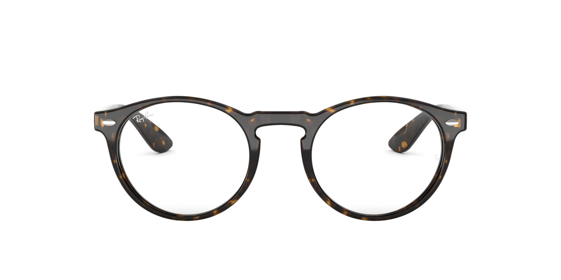 0RX5283_tortoise-2012_2.png