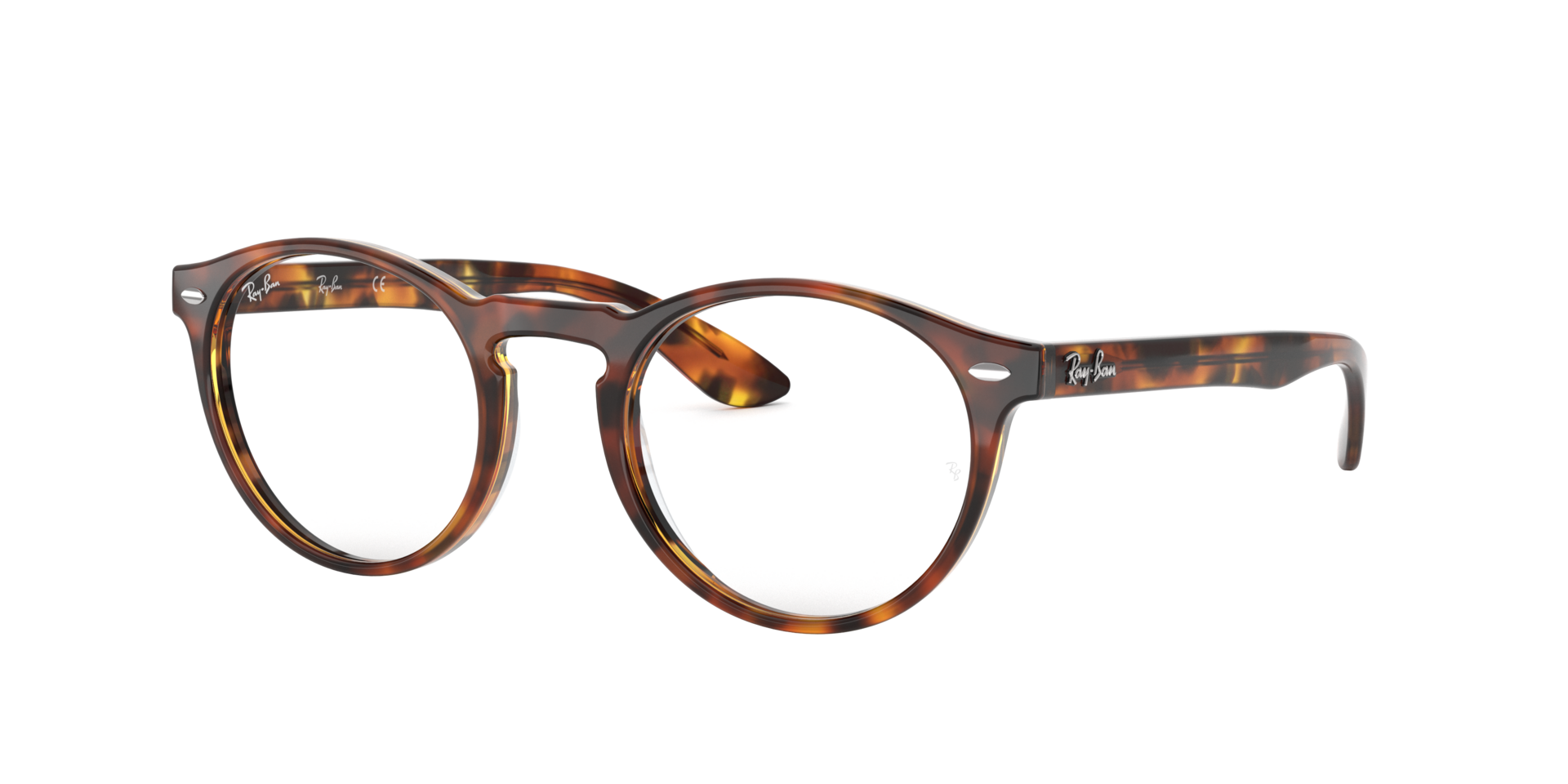 0RX5283_tortoise-5675