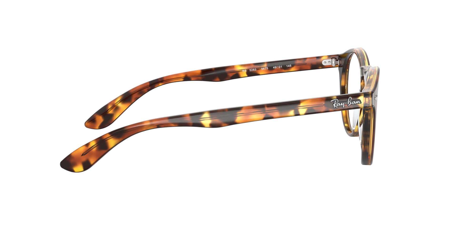 0RX5283_tortoise-5675_10.png