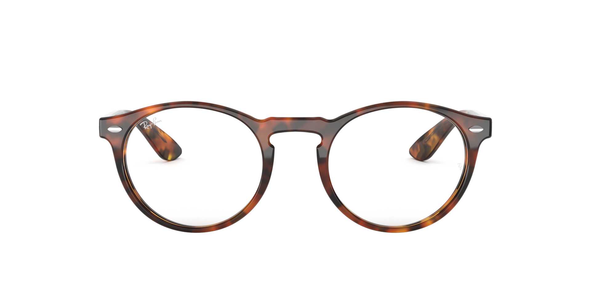 0RX5283_tortoise-5675_2.png