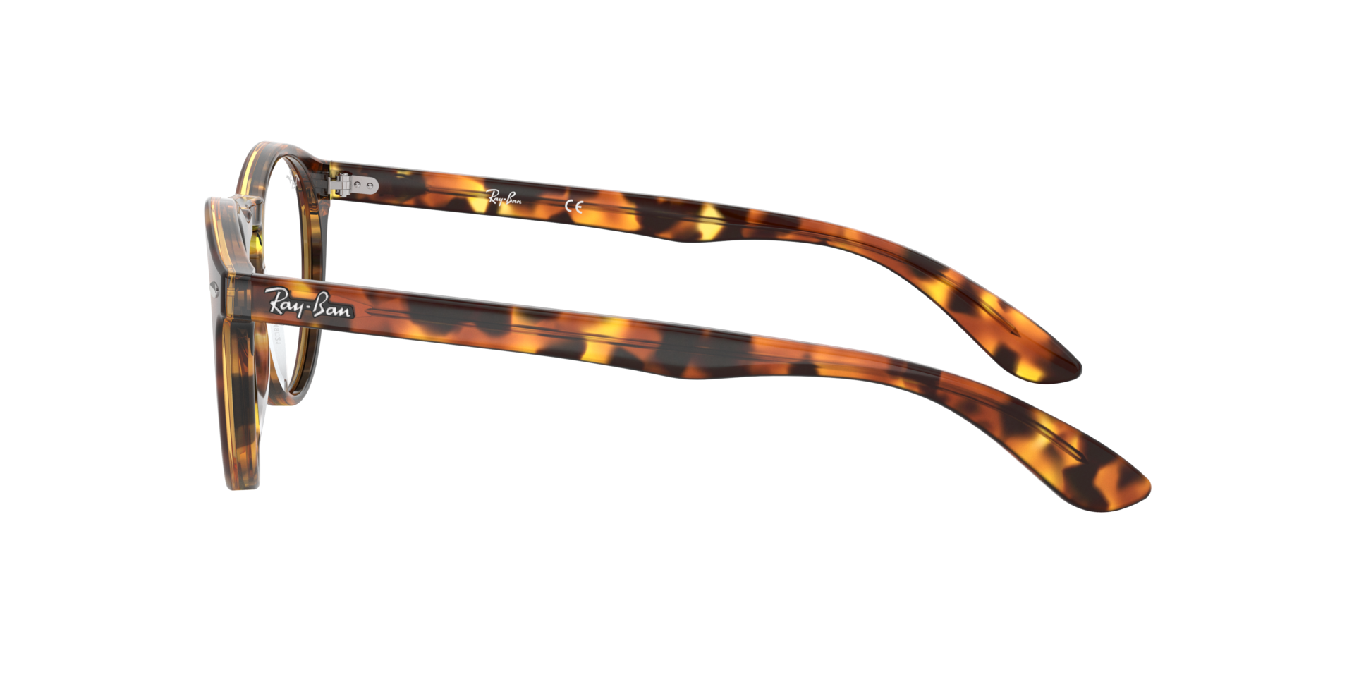0RX5283_tortoise-5675_4.png