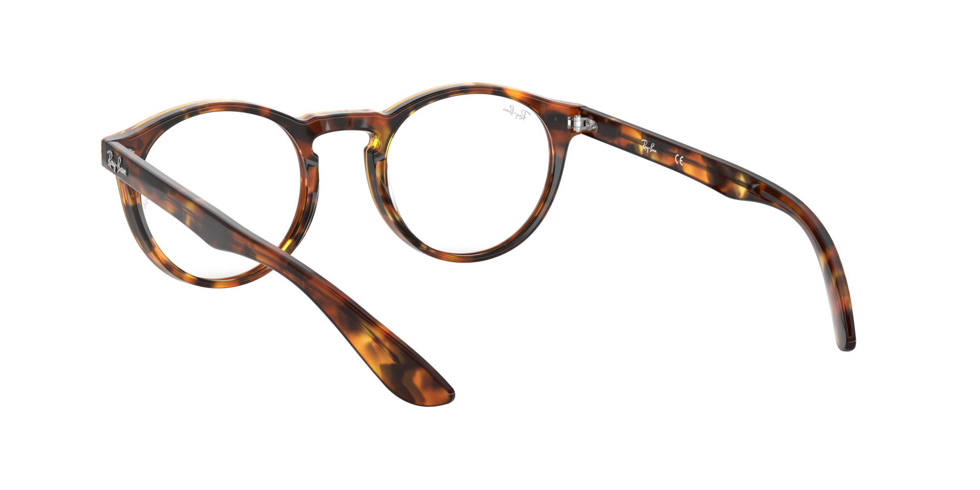 0RX5283_tortoise-5675_6.png
