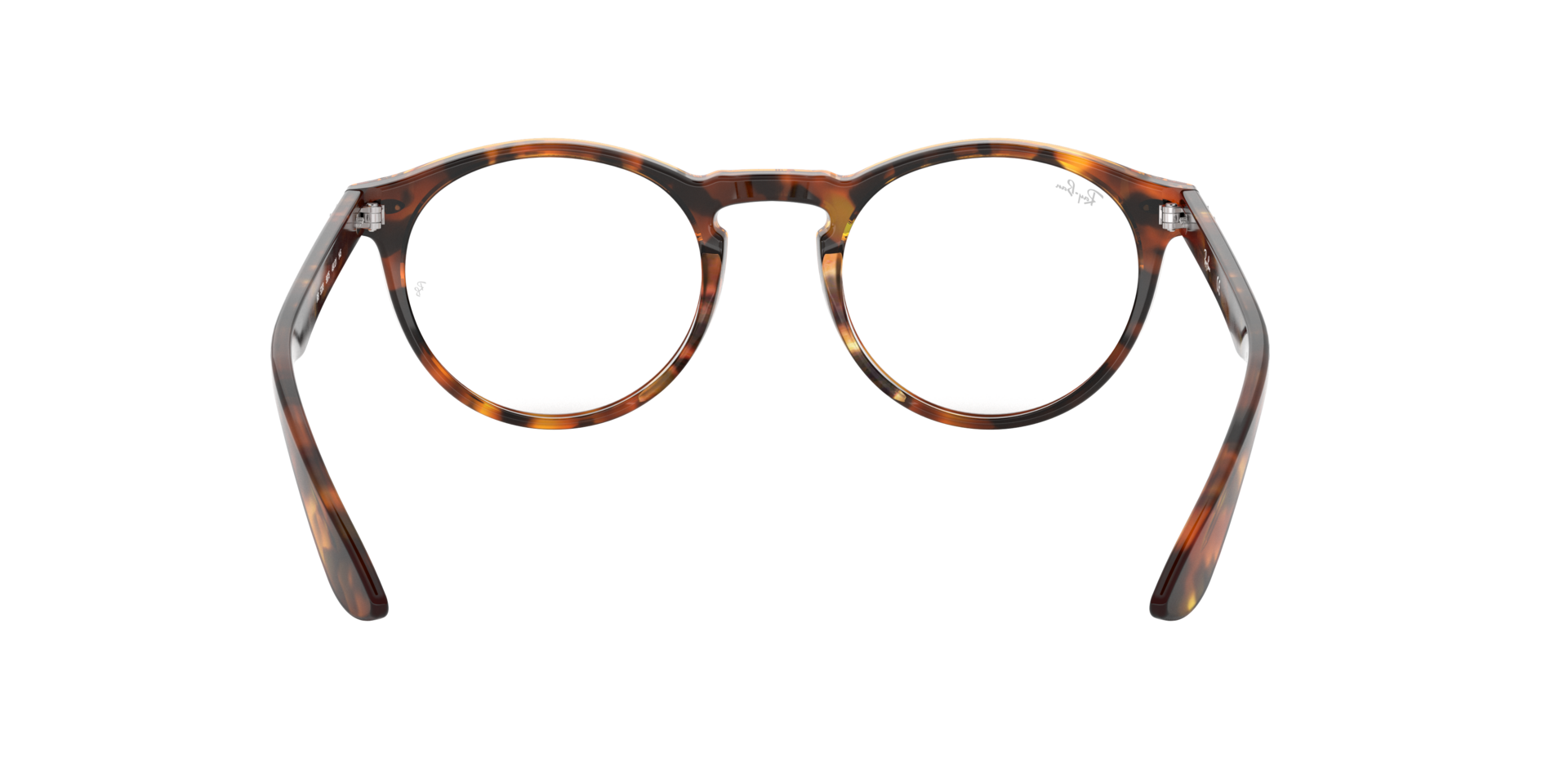 0RX5283_tortoise-5675_7.png
