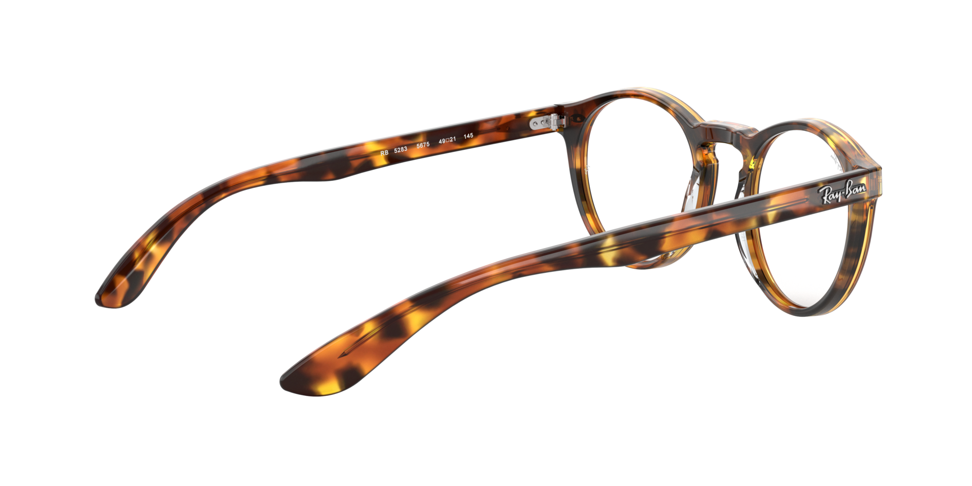 0RX5283_tortoise-5675_9.png