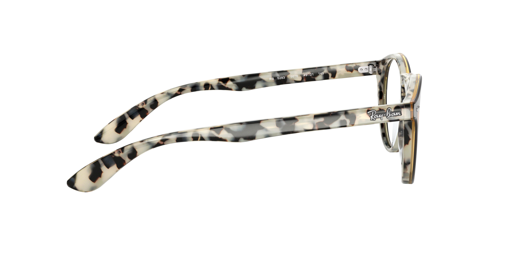 0RX5283_tortoise-5676_10.png