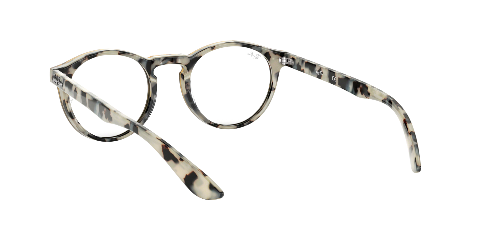 0RX5283_tortoise-5676_6.png